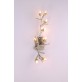 DV5627 Stella Fiori